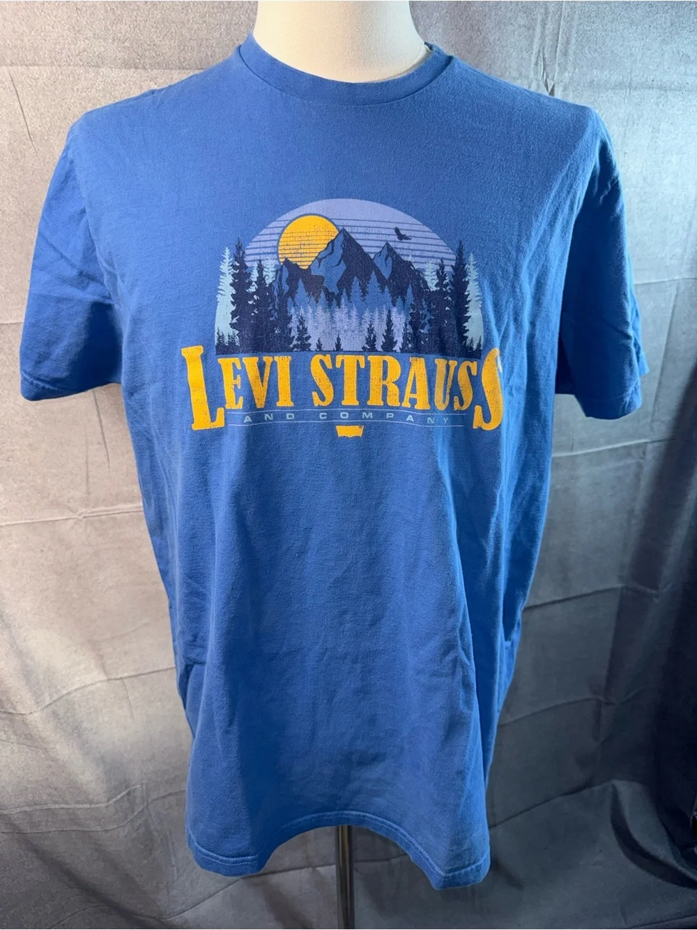 1590-Levi's Blue Short-Sleeve Graphic Mountain Tee with Yellow Logo